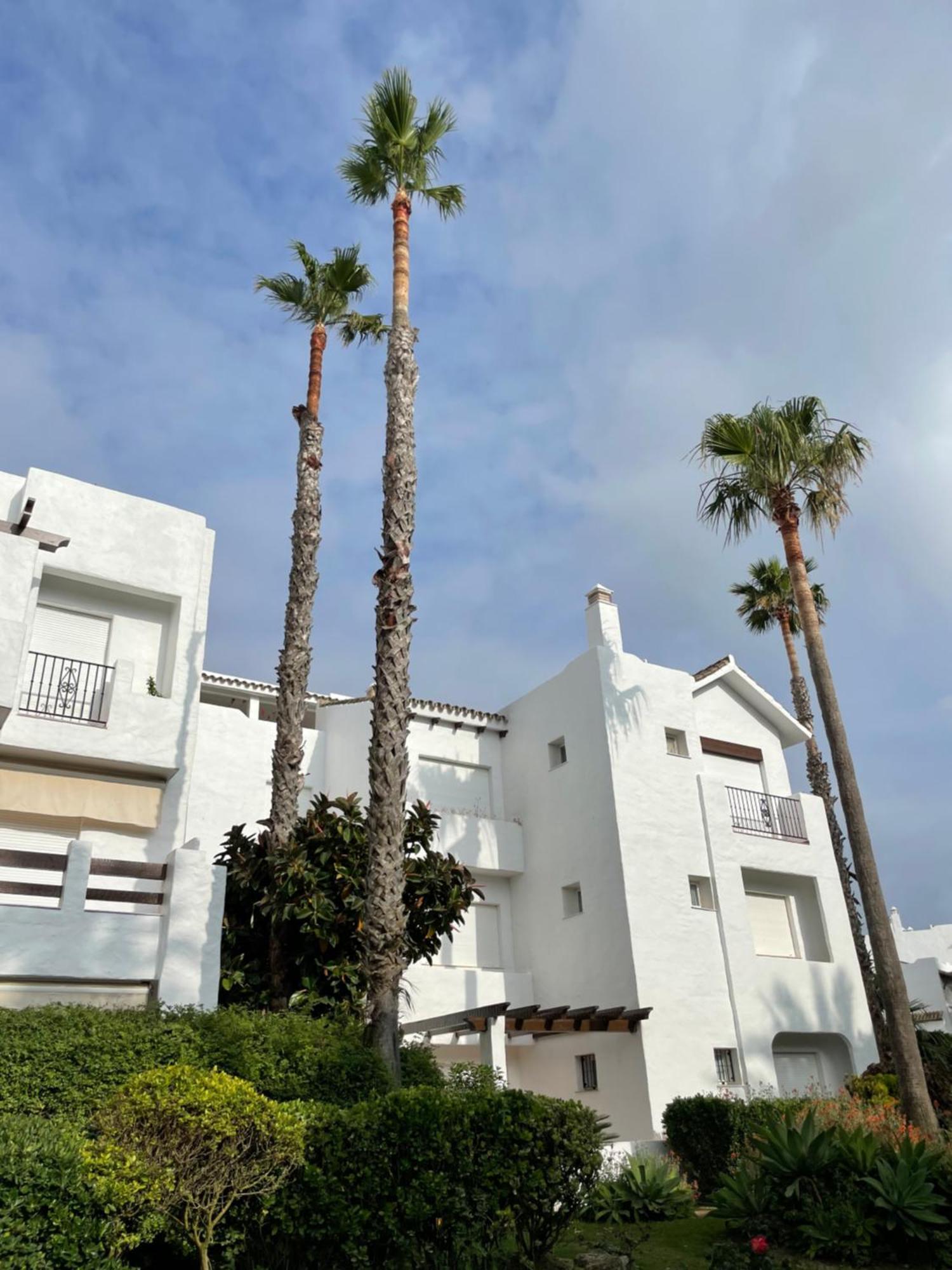 Relax&Sunset Appartement Costa Ballena Рота Екстериор снимка